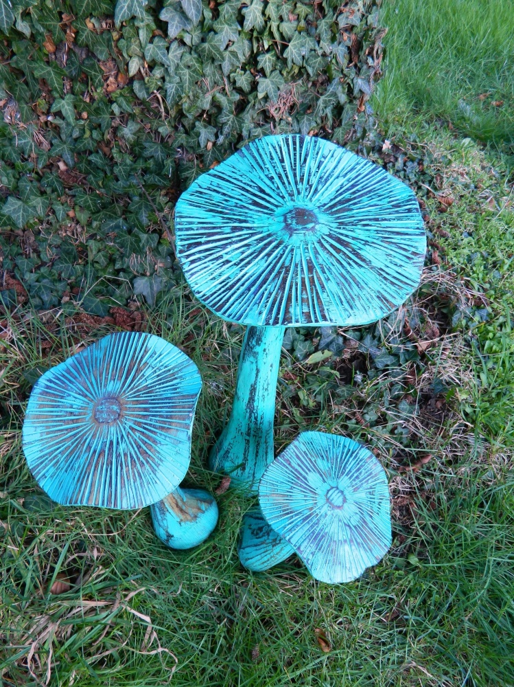 Wooden Mushrooms - Set of 6 Large Closed Cup and Flat